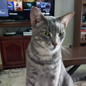 Meet your Posher, Erica